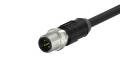 M12X1.0 D Coded 4pin, male straight single end, cable length L=2m，shielded